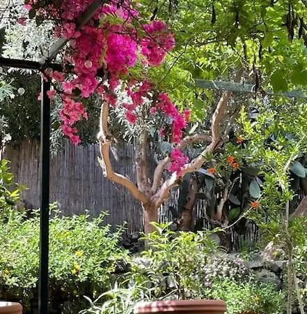 Apartment The Garden
