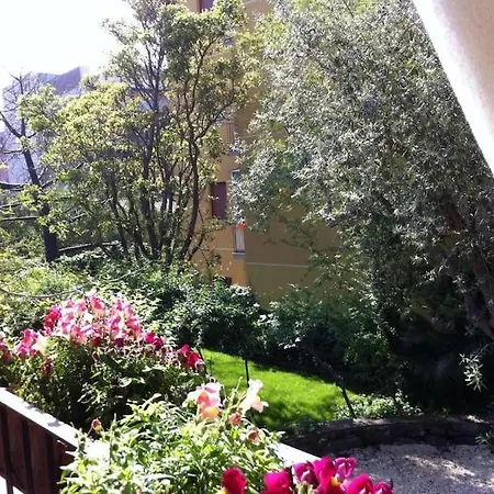 The Garden