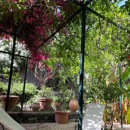 The Garden Catania
